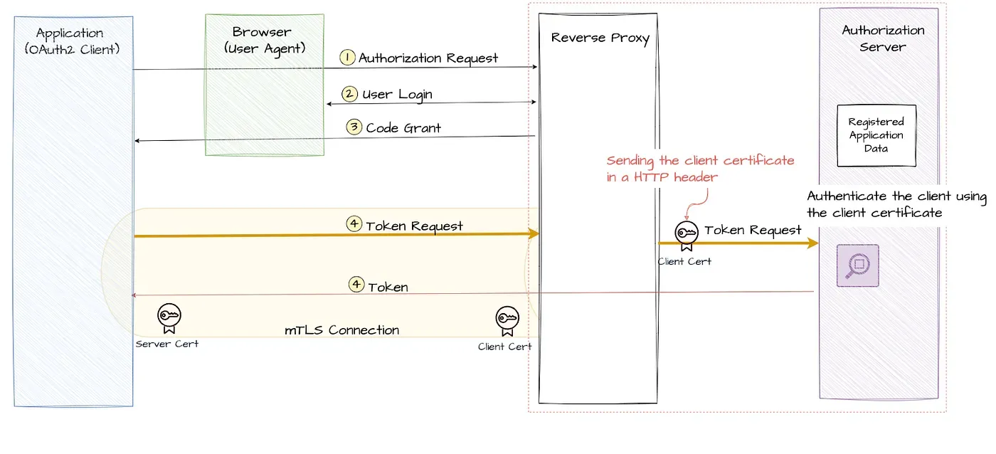 Diagram: Reverse proxy mTLS termination with certificate forwarding